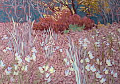 Cotton Grass, Sifton Bog